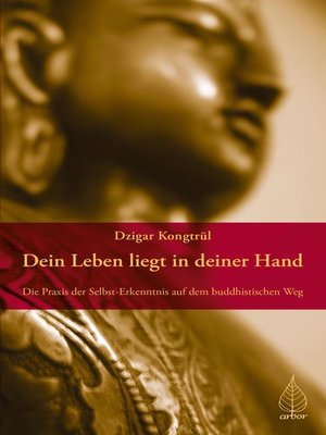 cover image of Dein Leben liegt in deiner Hand